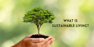Sustainable Living